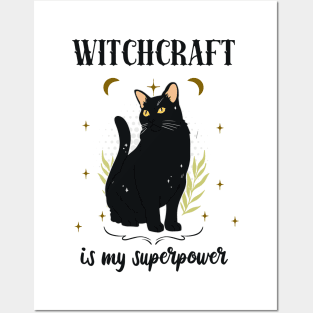 Witchcraft Black Cat Witch Wiccan Fun Posters and Art